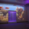 Проекционный дизайн "Виртуальная реальность" базовый комплект 500 анимаций - «globural.ru» - Краснотурьинск
