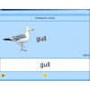 Английский язык. Освоение клавиатуры - «globural.ru» - Краснотурьинск
