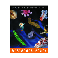 Зоология. Микрофотографии. (Цифровая база изображений) - «globural.ru» - Краснотурьинск