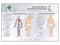 Электрифицированный стенд "Остановка кровотечения" - «globural.ru» - Краснотурьинск