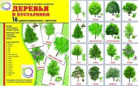 Демонстрационные карточки "Деревья и кустарники" - «globural.ru» - Краснотурьинск