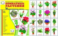 Демонстрационные карточки "Комнатные растения" - «globural.ru» - Краснотурьинск