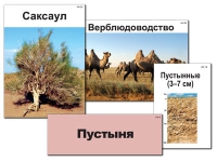Модель-аппликация "Природные зоны России" - «globural.ru» - Краснотурьинск