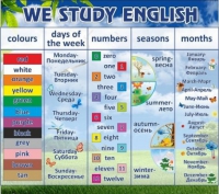 Стенд "We study english" - «globural.ru» - Краснотурьинск