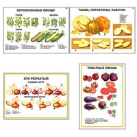 Плакаты ПРОФТЕХ "Ассортимент овощных культур" (12 пл, винил, 70х100) - «globural.ru» - Краснотурьинск