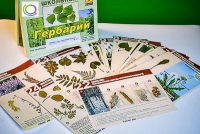 Гербарий к курсу основ общей биологии - «globural.ru» - Краснотурьинск