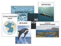 Модель-аппликация "Океаны. Знакомство" (ламинированная) - «globural.ru» - Краснотурьинск