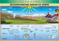Таблица Возникновение жизни на Земле 1000*1400 винил - «globural.ru» - Краснотурьинск