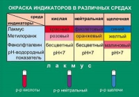 Таблица Окраска индикаторов в различных средах (винил) - «globural.ru» - Краснотурьинск
