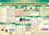 Таблица Биотические взаимоотношения организмов 1000*700 (винил) - «globural.ru» - Краснотурьинск