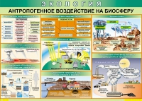 Таблица Антропогенное воздействие на биосферу 1000*700 винил - «globural.ru» - Краснотурьинск