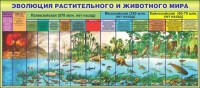 Стенд "Эволюция растительного и животного мира" - «globural.ru» - Краснотурьинск