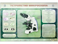 Электрифицированный стенд "Устройство микроскопа и правила работы c ним" - «globural.ru» - Краснотурьинск