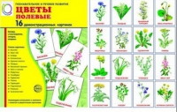 Демонстрационные карточки "Цветы полевые" - «globural.ru» - Краснотурьинск