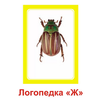 Логопедка "Ж" (логопедические карточки) - «globural.ru» - Краснотурьинск