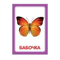 Логопедка "Ч" (логопедические карточки) - «globural.ru» - Краснотурьинск