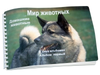 Пособие для слабовидящих "Домашние животные" - «globural.ru» - Краснотурьинск