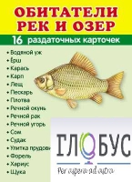 Раздаточные карточки "Обитатели рек и озер" - «globural.ru» - Краснотурьинск