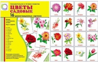 Демонстрационные карточки "Цветы садовые" - «globural.ru» - Краснотурьинск
