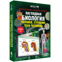 Наглядная биология. Человек. Строение тела человека - «globural.ru» - Краснотурьинск