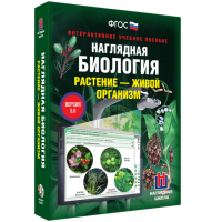 Наглядная биология. Растение - живой организм - «globural.ru» - Краснотурьинск