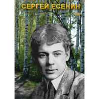 DVD Сергей Есенин - «globural.ru» - Краснотурьинск