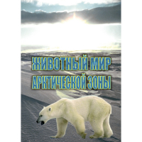 DVD Животный мир Арктической зоны - «globural.ru» - Краснотурьинск