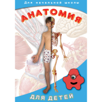 DVD  Анатомия для детей - «globural.ru» - Краснотурьинск