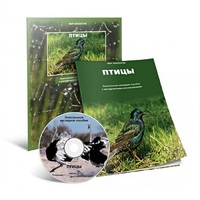 Электронное наглядное пособие «Птицы» - «globural.ru» - Краснотурьинск