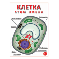 DVD Клетка - "атом жизни" - «globural.ru» - Краснотурьинск