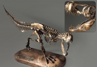 Модель скелета динозавра Tyrannosaurus - «globural.ru» - Краснотурьинск