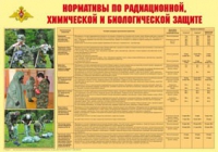 Плакат "Нормативы по радиационной, химической и биологической защите" - «globural.ru» - Краснотурьинск