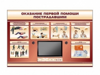 Многофункциональный интерактивный стенд-тренажер "Оказание первой помощи пострадавшим" для учащихся общеобразовательных учреждений - «globural.ru» - Краснотурьинск
