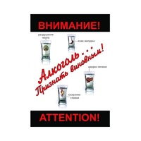 DVD Алкоголь. Признать виновным - «globural.ru» - Краснотурьинск