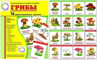 Демонстрационные карточки  "Грибы съедобные и не съедобные" - «globural.ru» - Краснотурьинск