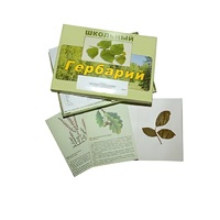 Гербарий "Дикорастущие растения" (30 видов, с иллюстрациями) - «globural.ru» - Краснотурьинск