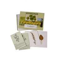 Гербарий "Лекарственные растения" (22 вида, с иллюстрациями) - «globural.ru» - Краснотурьинск
