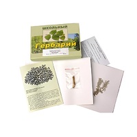 Гербарий "Водоросли. Грибы. Лишайники" (раздаточный) - «globural.ru» - Краснотурьинск