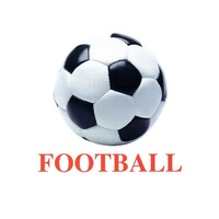 Карточки Домана "Sports equipment-1" ("Спортинвентарь-1") на английском языке - «globural.ru» - Краснотурьинск
