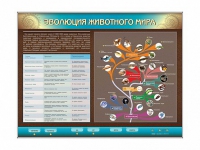 Интерактивный электрифицированный стенд "Эволюция животного мира" - «globural.ru» - Краснотурьинск