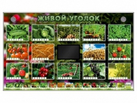 Комплект оборудования "Живой уголок" (растения) - «globural.ru» - Краснотурьинск