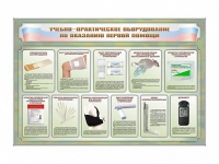 Стенды "Учебно-практическое оборудование по оказанию первой помощи" - «globural.ru» - Краснотурьинск
