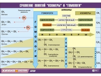 Таблица демонстрационная "Сравнение понятий изомер и гомолог" (винил 100х140) - «globural.ru» - Краснотурьинск