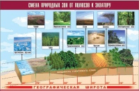 Таблица демонстрационная "Смена природных зон от полюсов к экватору" (винил 70x100) - «globural.ru» - Краснотурьинск