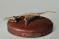 Модель скелета ихтиозавра Ichthyosaurus - «globural.ru» - Краснотурьинск