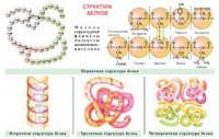Плакаты и таблицы по общей химии - «globural.ru» - Краснотурьинск
