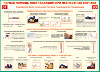  Таблица Общий порядок оказания первой помощи пострадавшим 1000*1400 винил	 - «globural.ru» - Краснотурьинск
