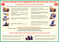Таблица Порядок действий при внезапной смерти 1000*1400 винил - «globural.ru» - Краснотурьинск