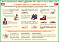 Таблица Порядок действий при переломах конечностей 1000*1400 винил - «globural.ru» - Краснотурьинск