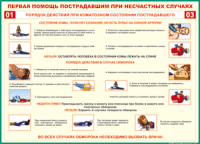 Таблица Порядок действий при коматозном состоянии пострадавшего 1000*1400 винил - «globural.ru» - Краснотурьинск